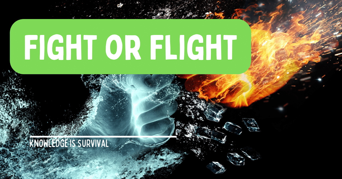 test: Fight or Flight